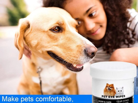  Discover the Ultimate Pet Supplies Plus Florence KY: Your One-Stop Shop for Happy Pets